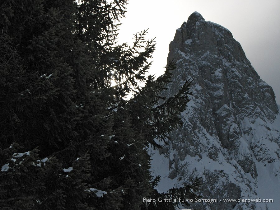 25 A fianco pianta e cima.jpg